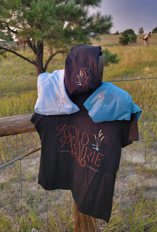 Women's V-Neck Tshirt